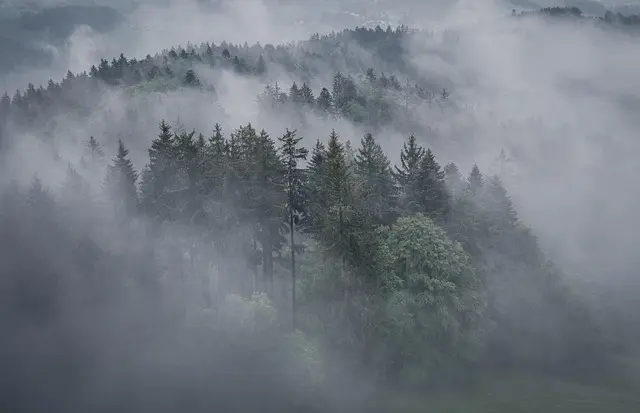 Guide d'achat : les meilleurs drones pour la randonnée